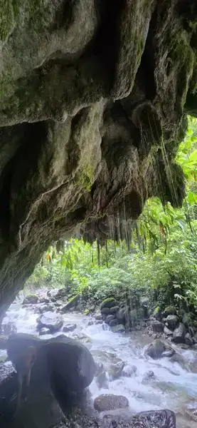 Montaña y neblina sagrada, Pastaza