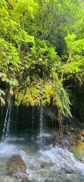 Cascada en territorio custodiado