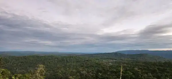 Horizonte de la selva amazónica custodiada